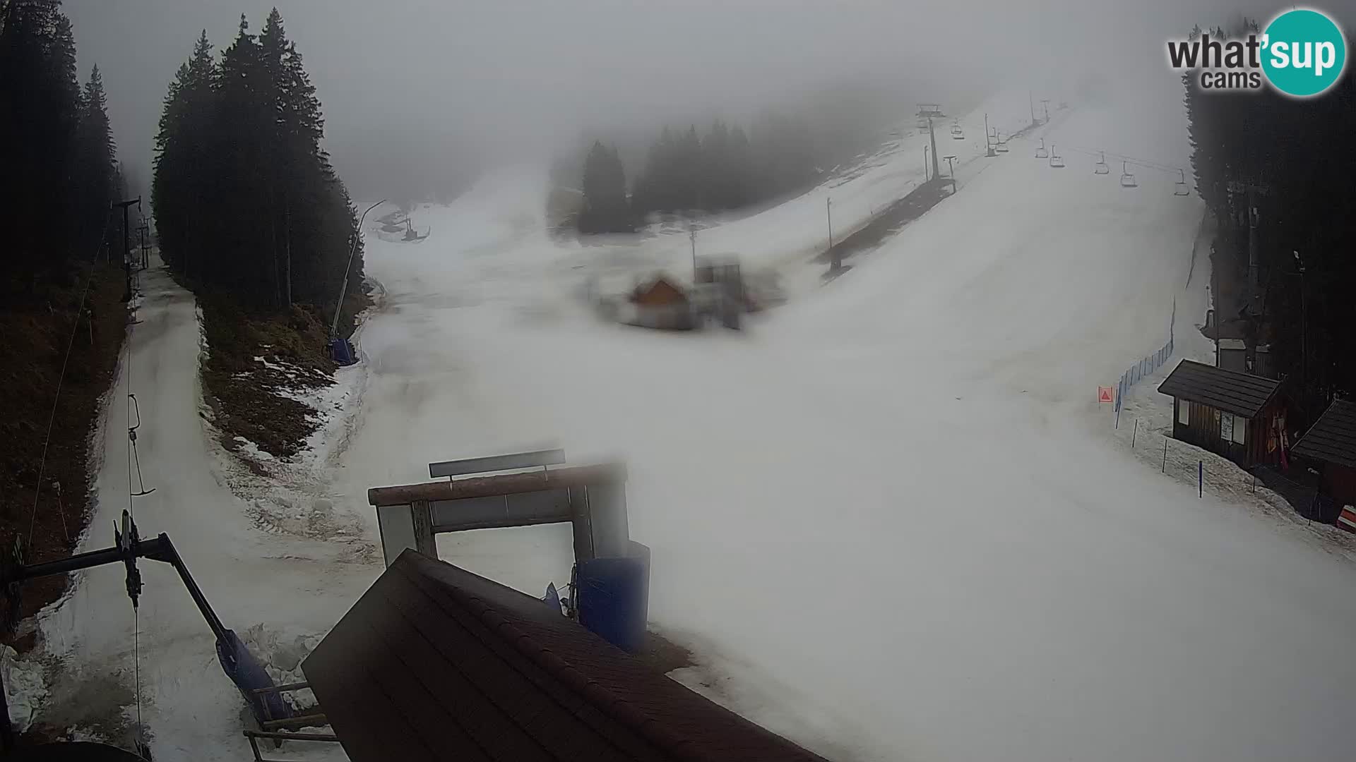 Rogla ski resort – Planja, Košuta, Jasa