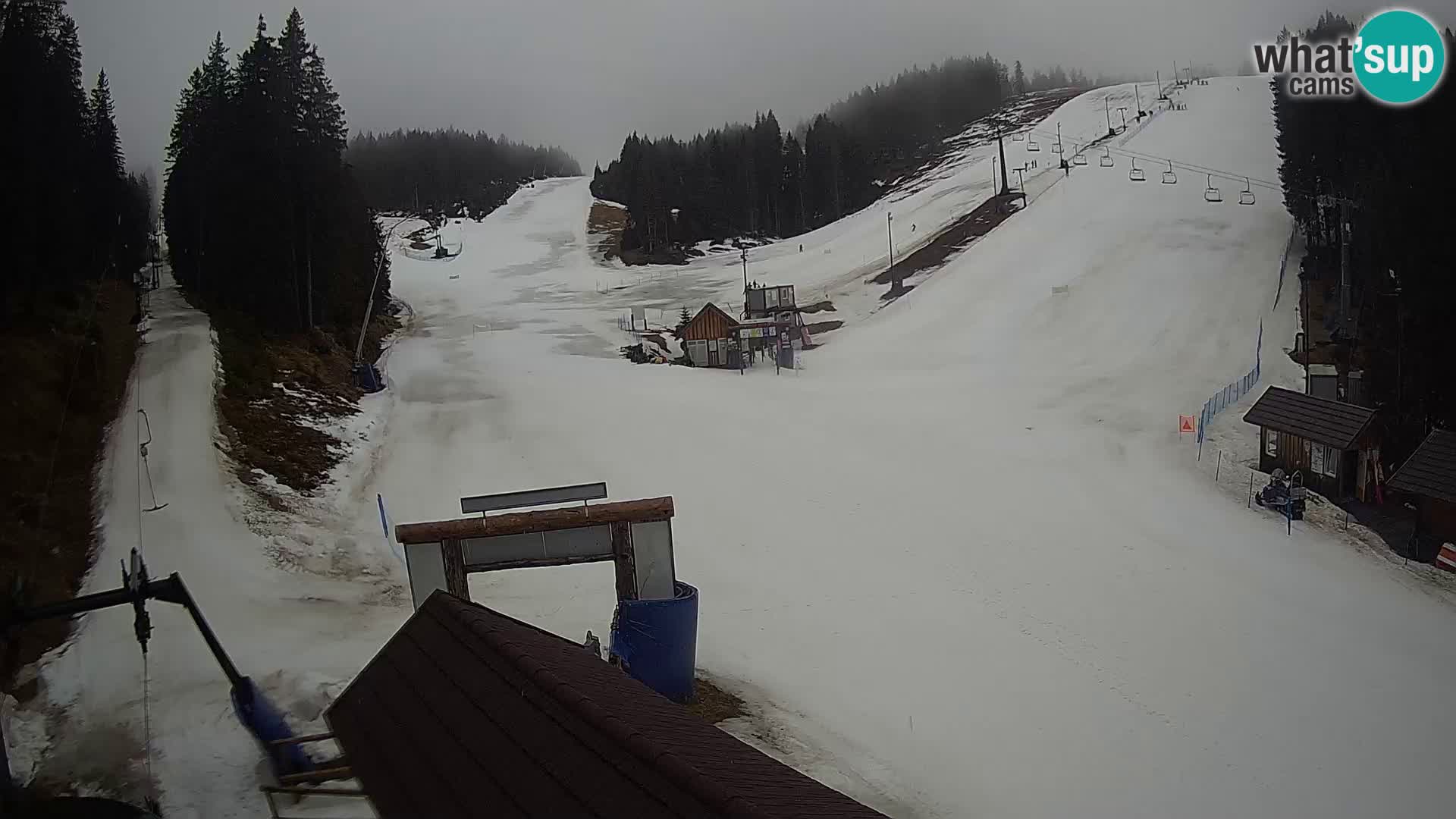 Rogla ski resort webcam Planja, Košuta, Jasa