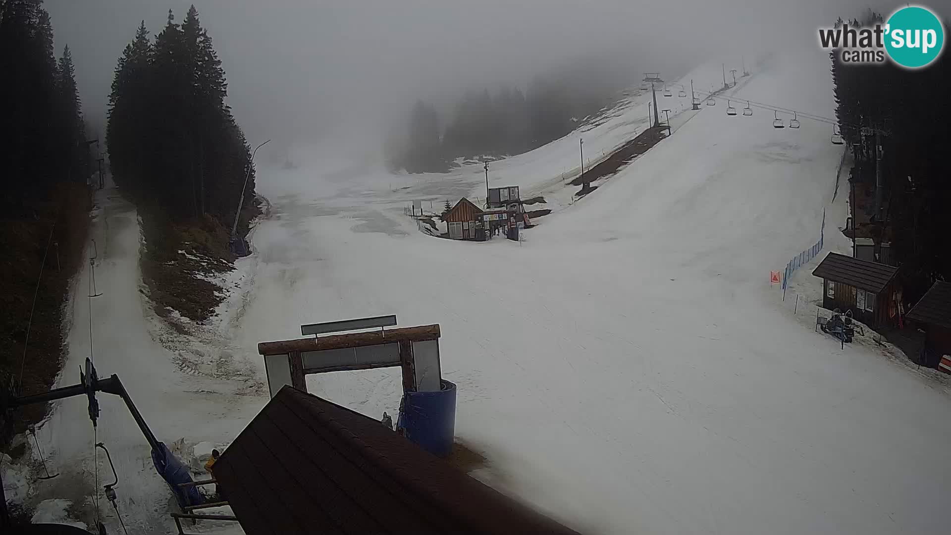 Rogla ski resort – Planja, Košuta, Jasa