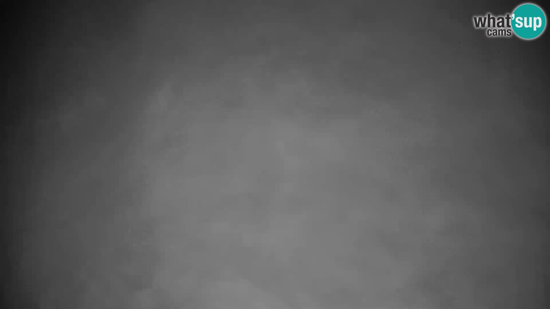 Rogla ski resort webcam Planja, Košuta, Jasa