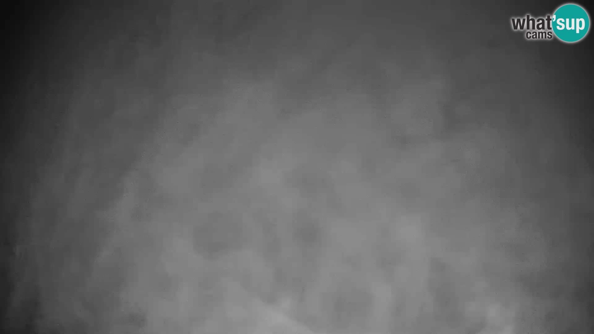 Rogla ski resort – Planja, Košuta, Jasa