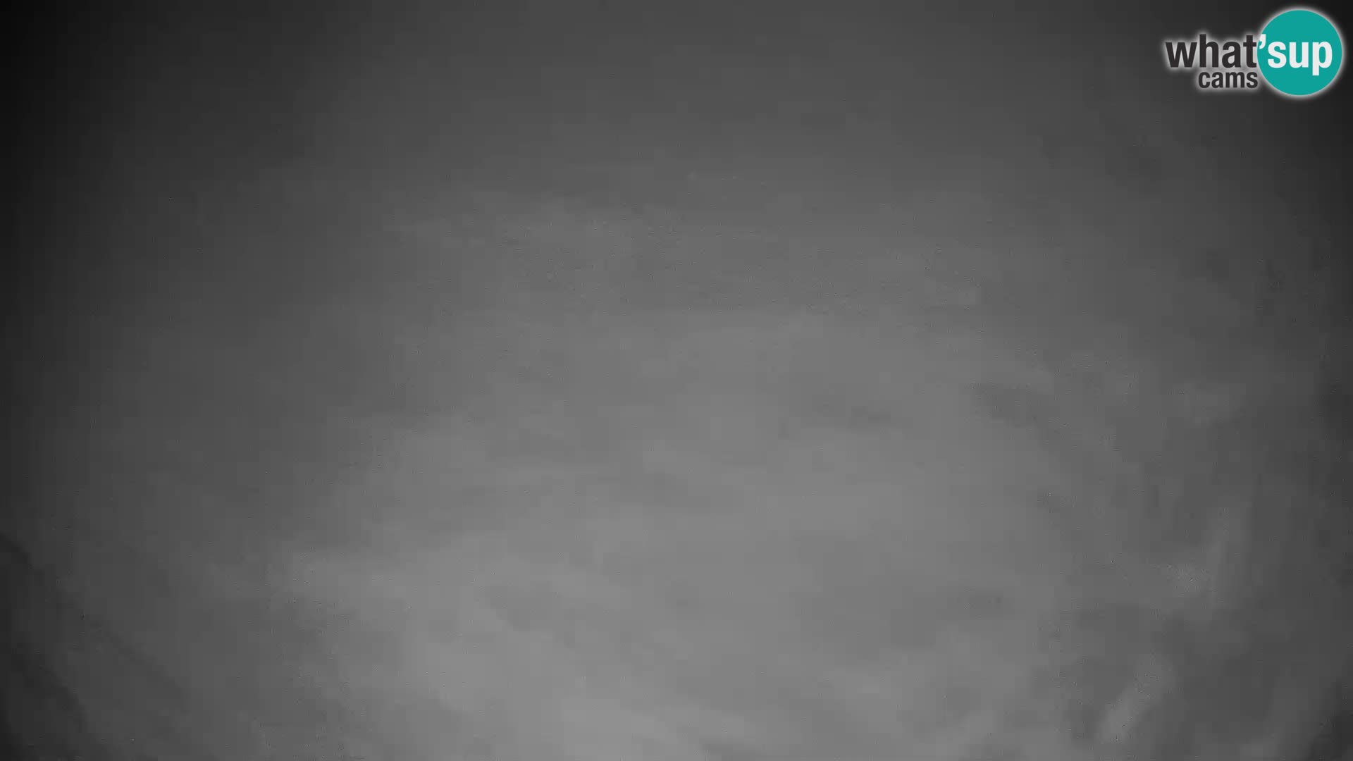 Rogla ski resort – Planja, Košuta, Jasa