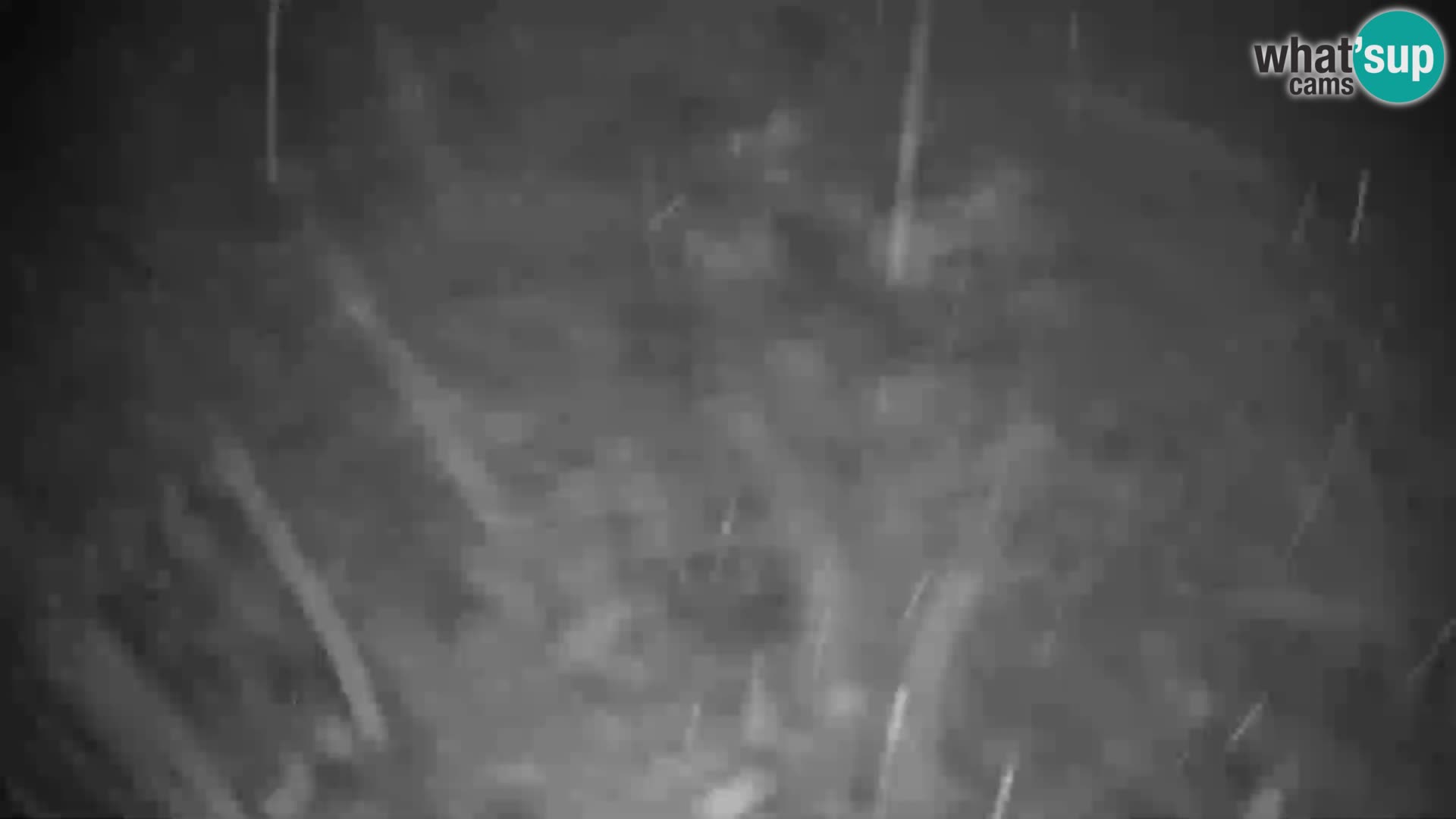 Rogla – Planja, Košuta, Jasa