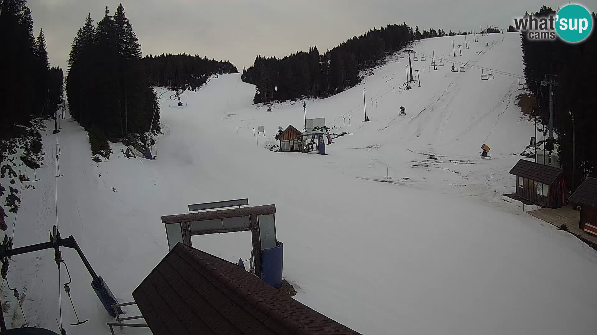 Rogla ski resort webcam Planja, Košuta, Jasa