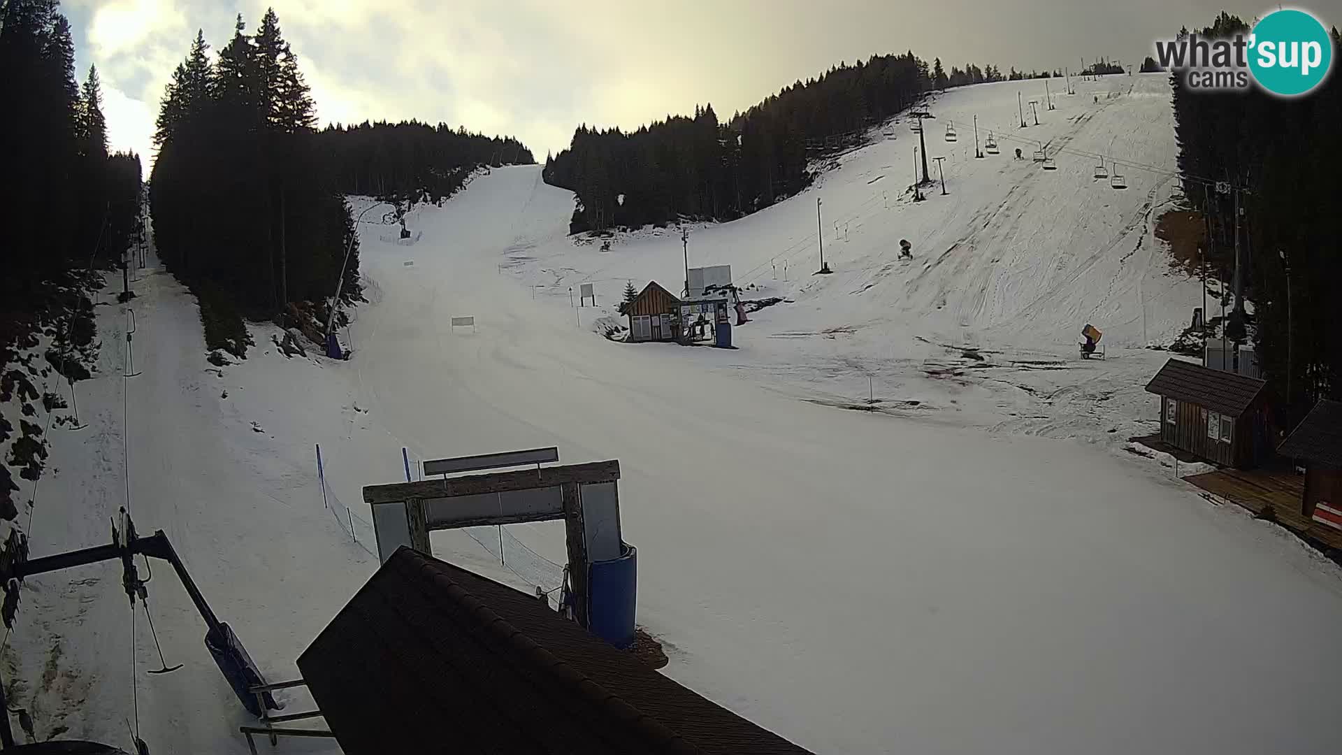 Rogla ski resort – Planja, Košuta, Jasa