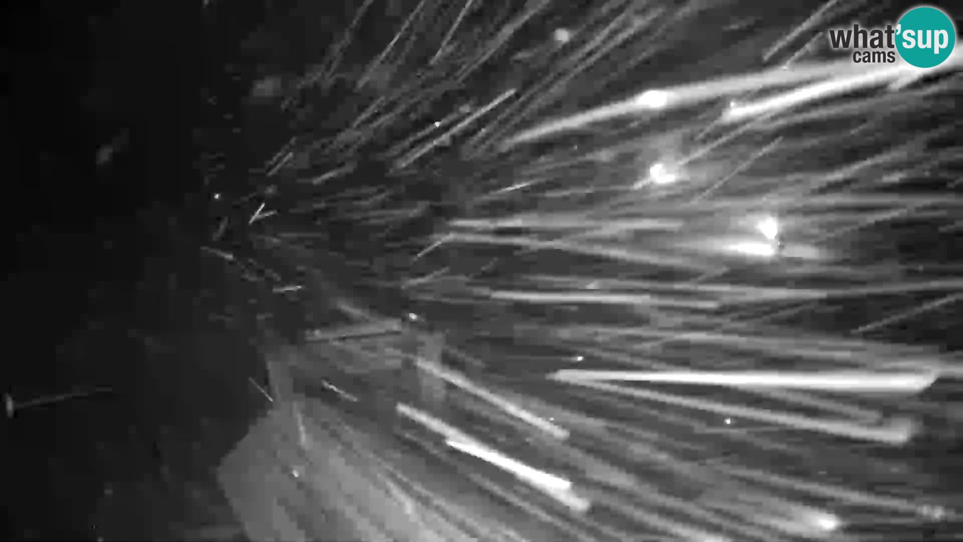 Rogla – Planja, Košuta, Jasa