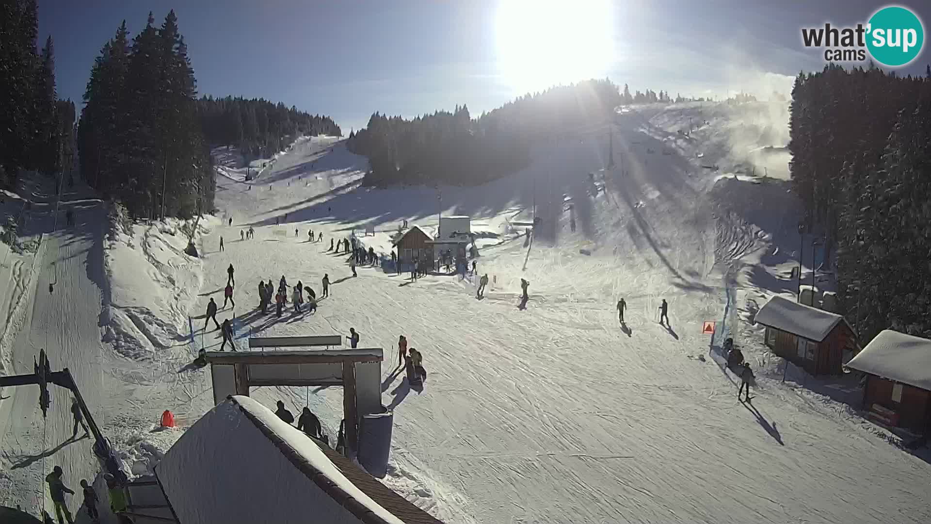 Rogla – Planja, Košuta, Jasa