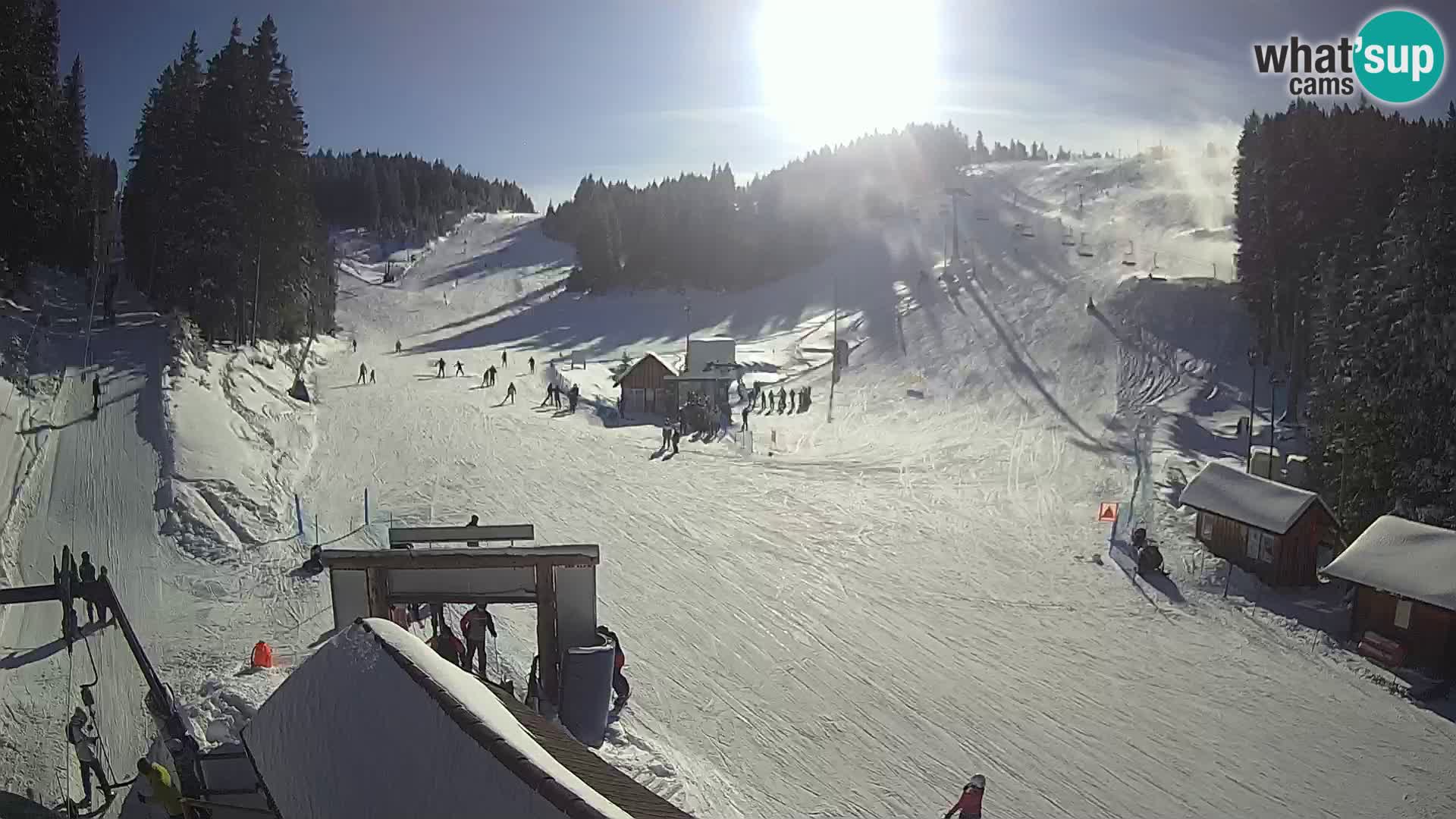 Rogla ski resort – Planja, Košuta, Jasa