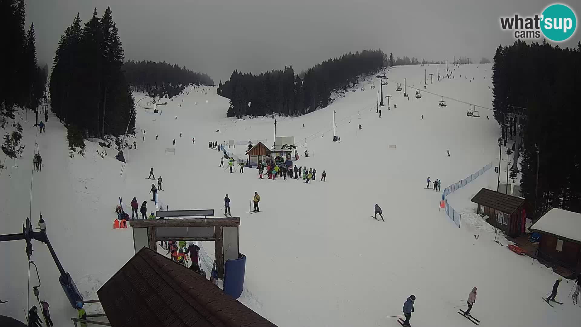 Rogla ski resort – Planja, Košuta, Jasa
