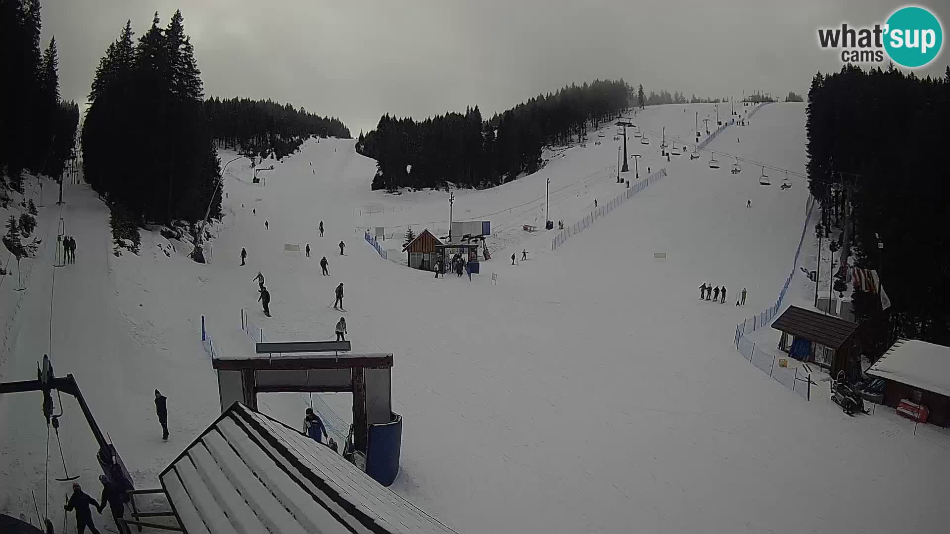 Rogla ski resort – Planja, Košuta, Jasa