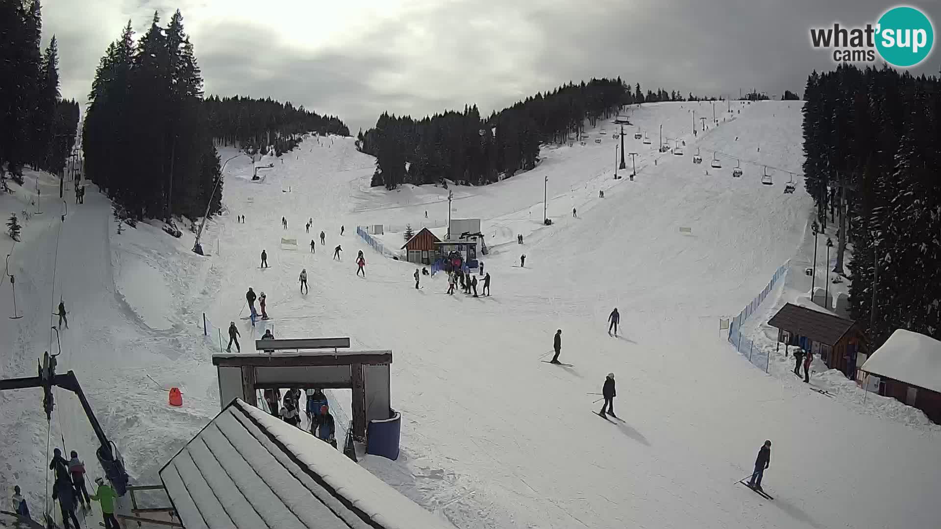 Rogla ski resort – Planja, Košuta, Jasa