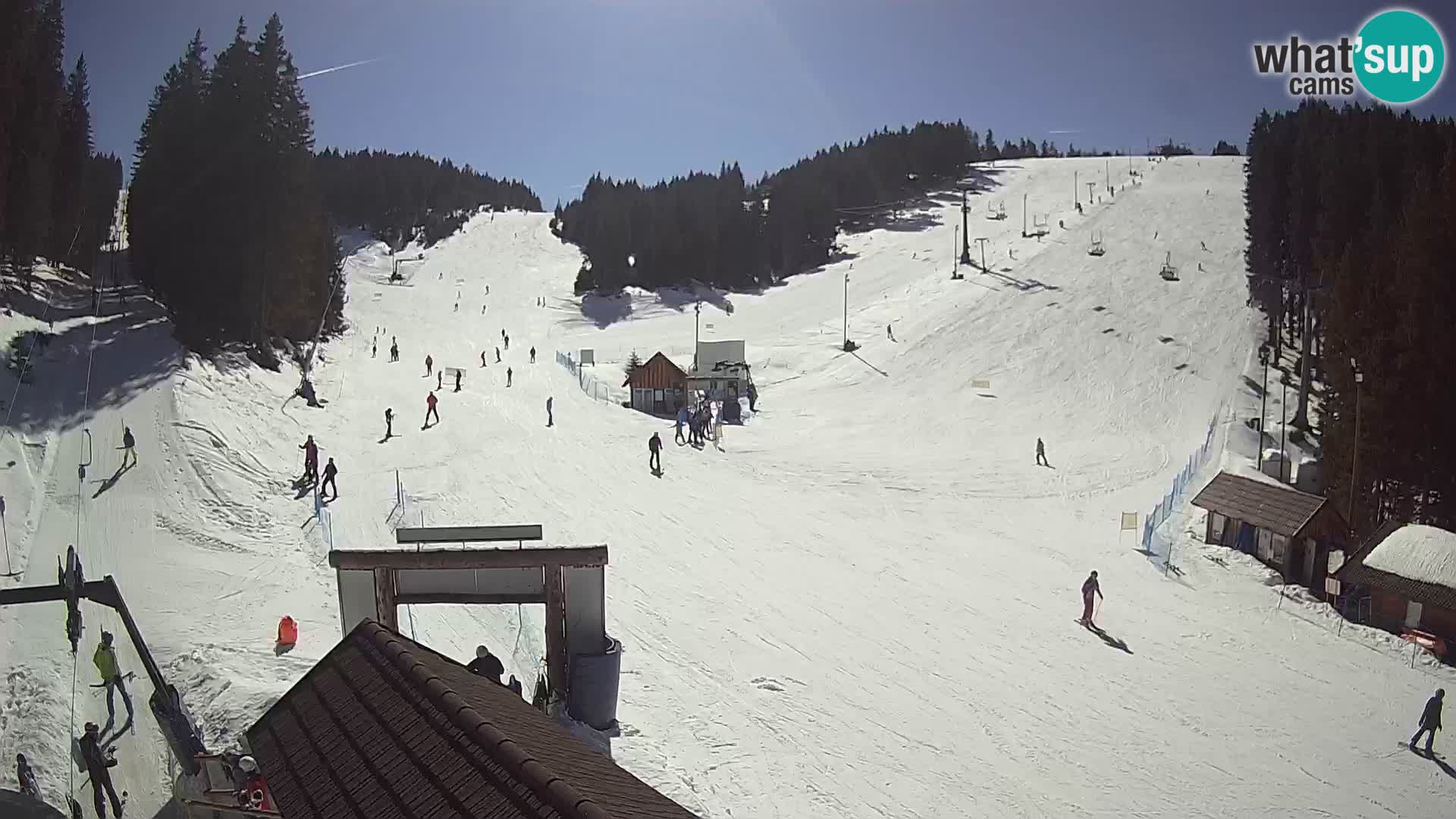 Rogla ski resort – Planja, Košuta, Jasa
