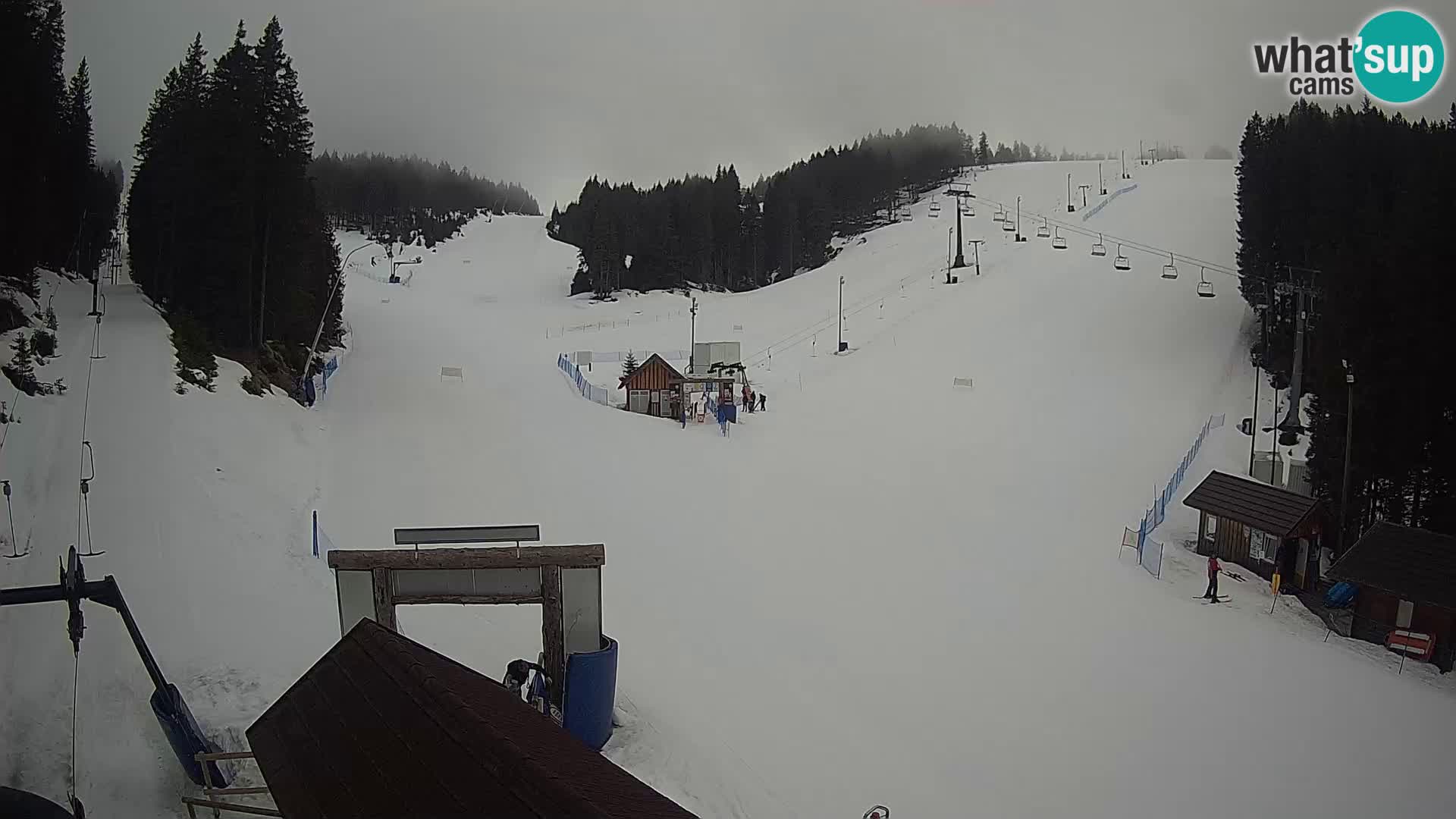 Rogla ski resort – Planja, Košuta, Jasa