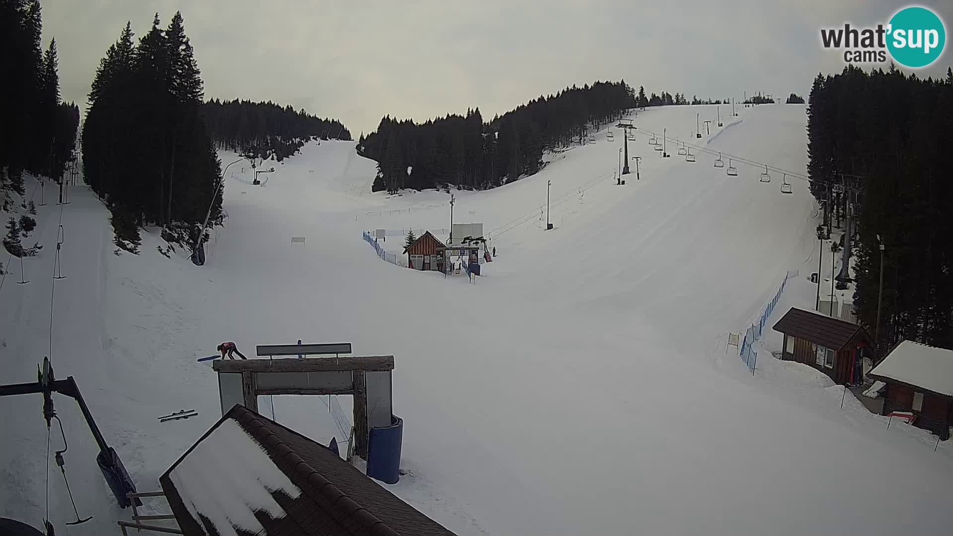 Rogla ski resort – Planja, Košuta, Jasa