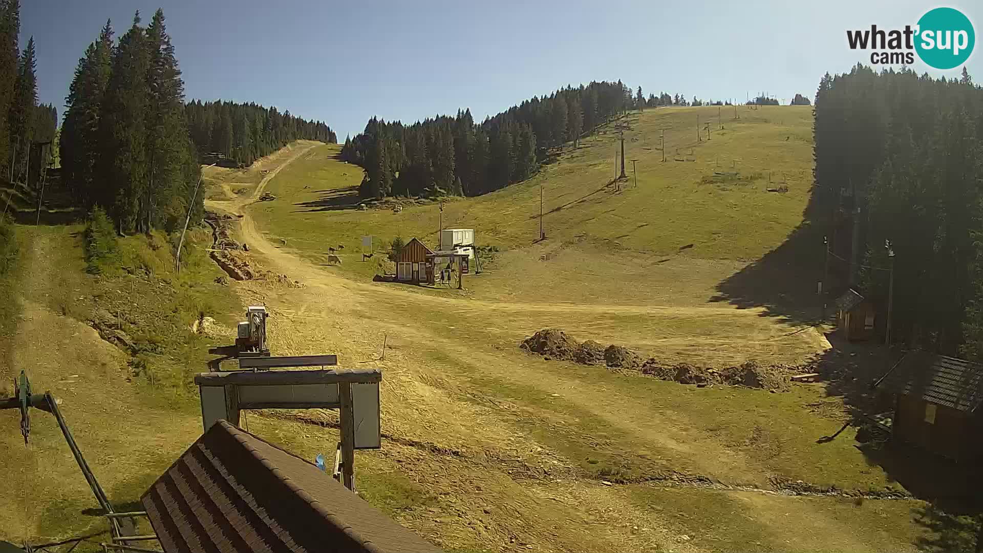 Rogla ski resort – Planja, Košuta, Jasa