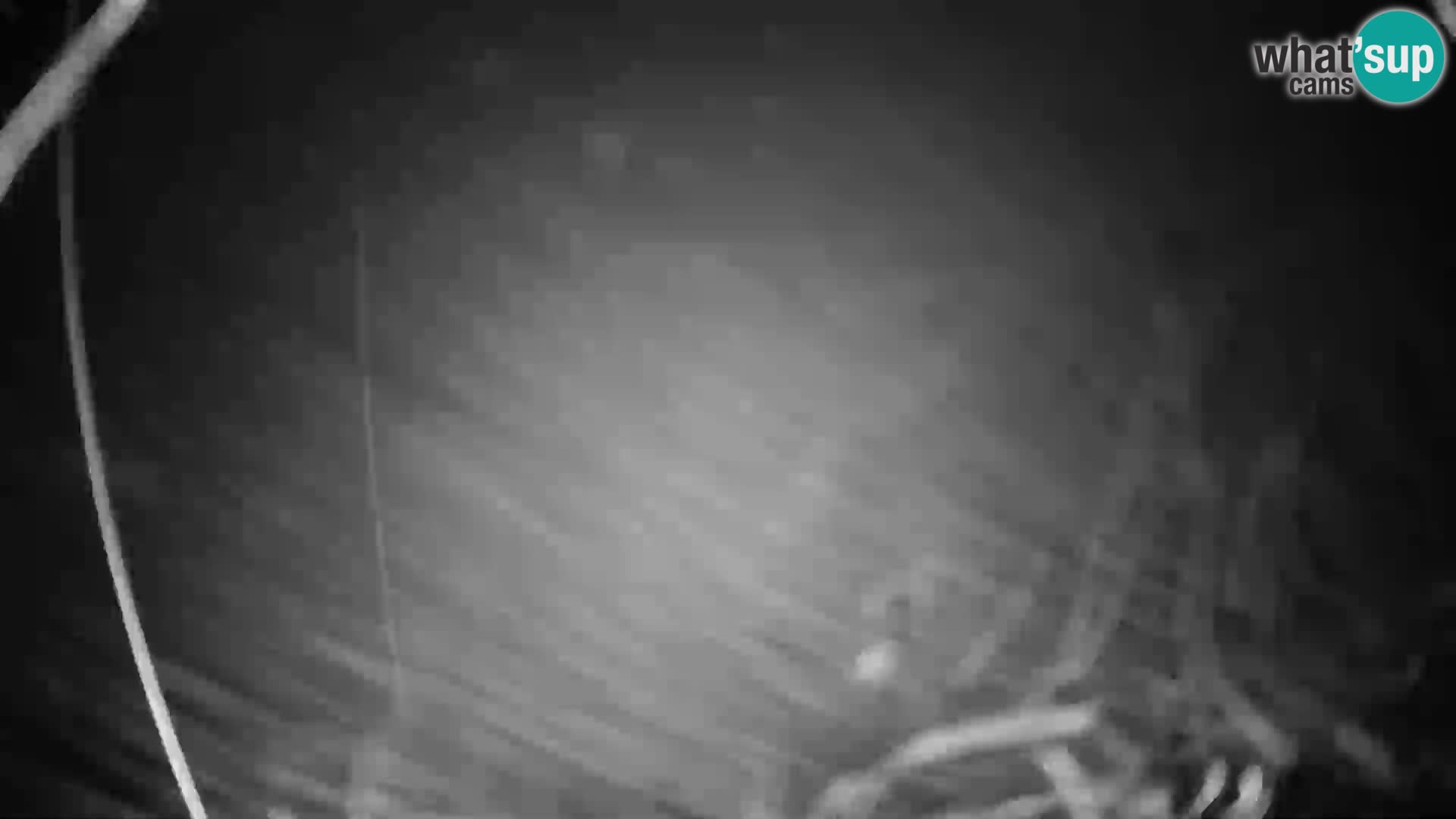 Rogla – Mašinžaga vue 2