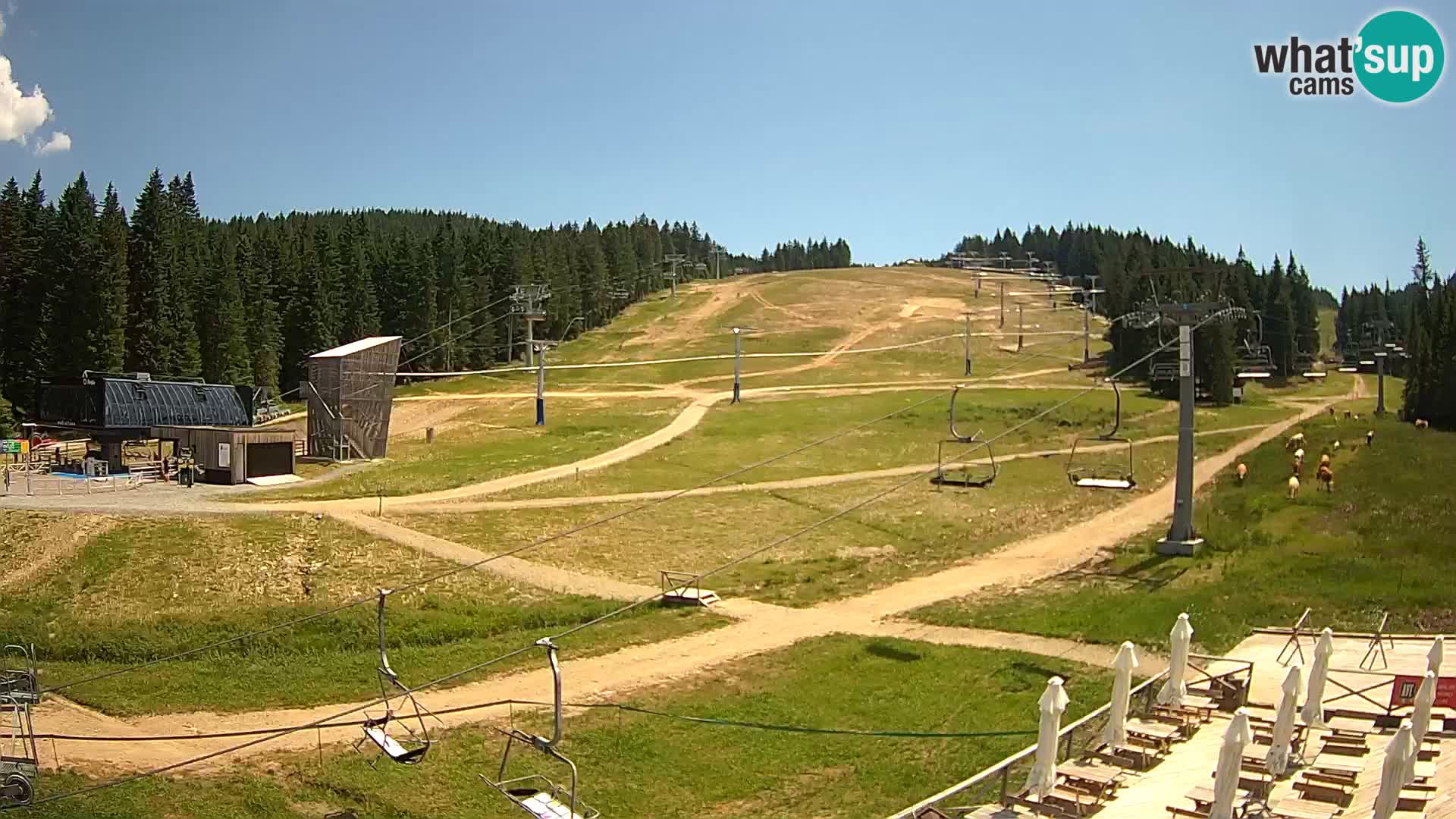 Rogla – Mašinžaga pogled 1