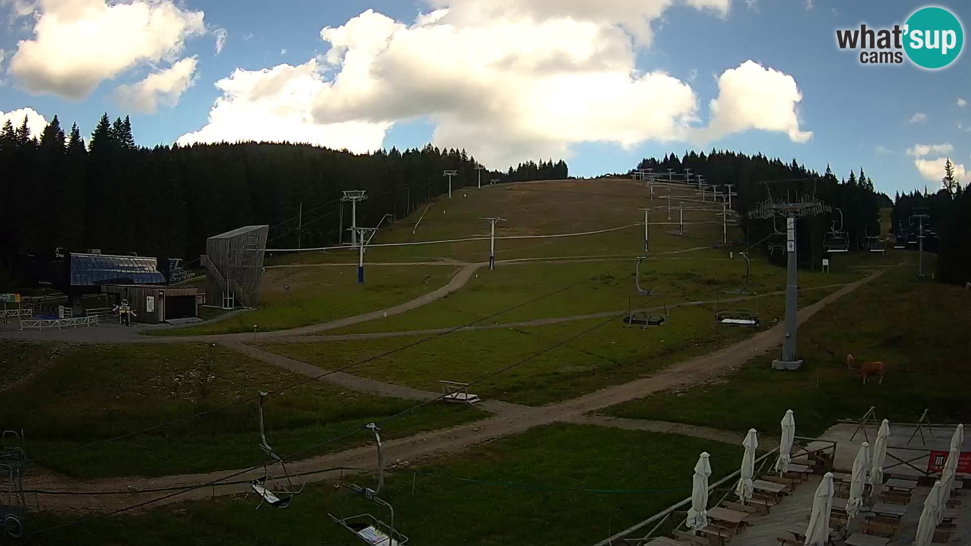 Rogla – Mašinžaga pogled 1