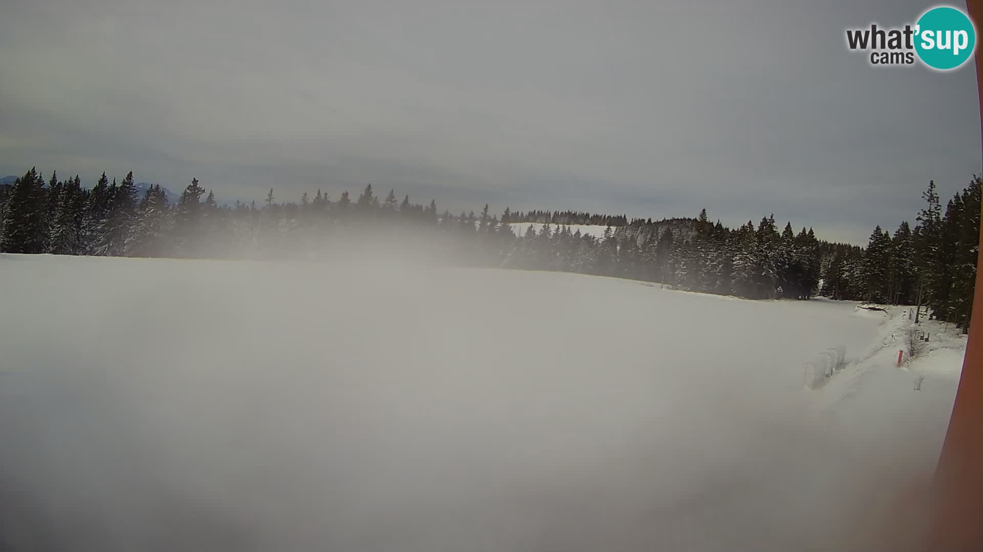 Rogla – Hotel Natura – Skilanglauf