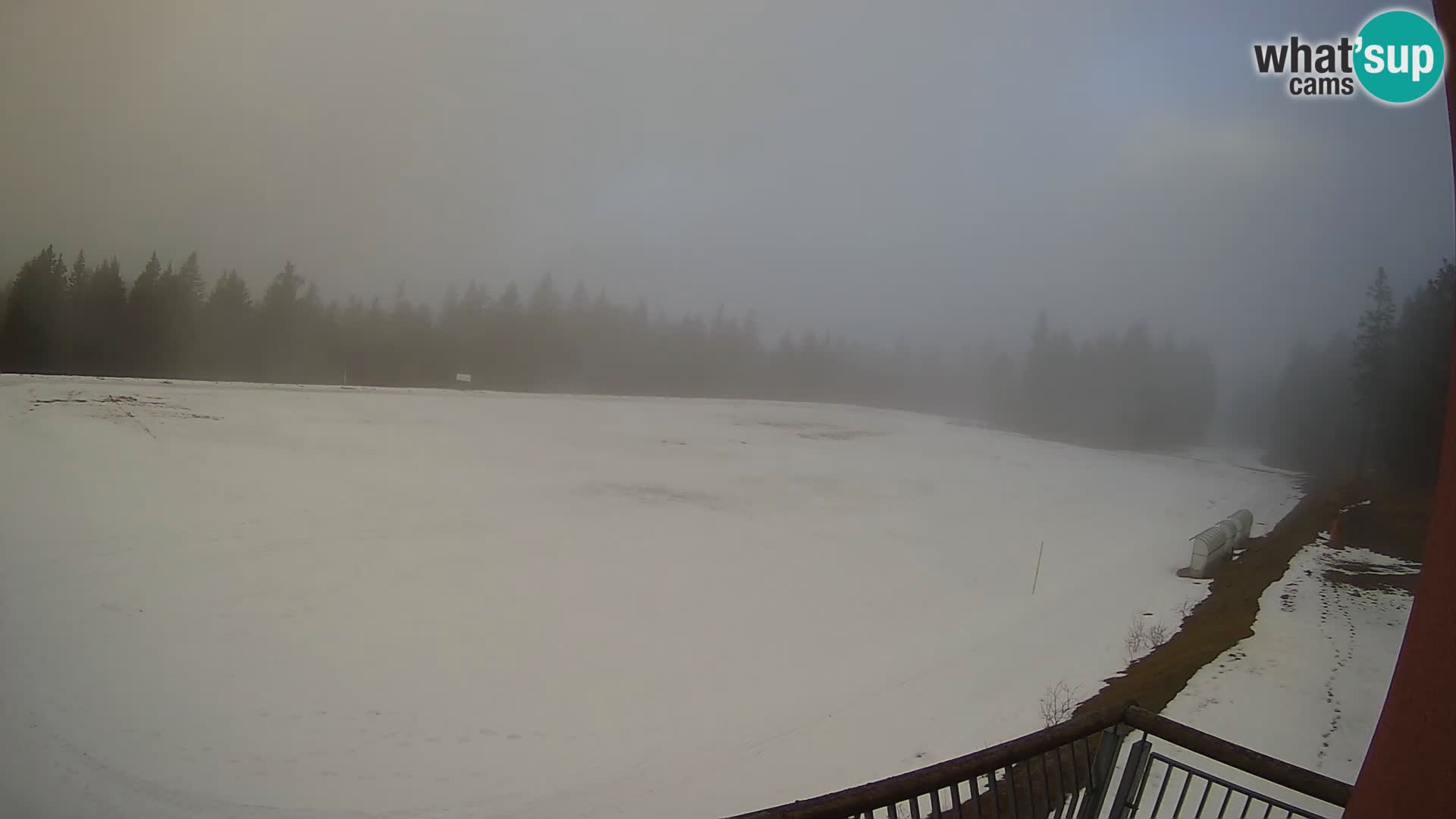 Rogla – Hotel Natura – Skilanglauf