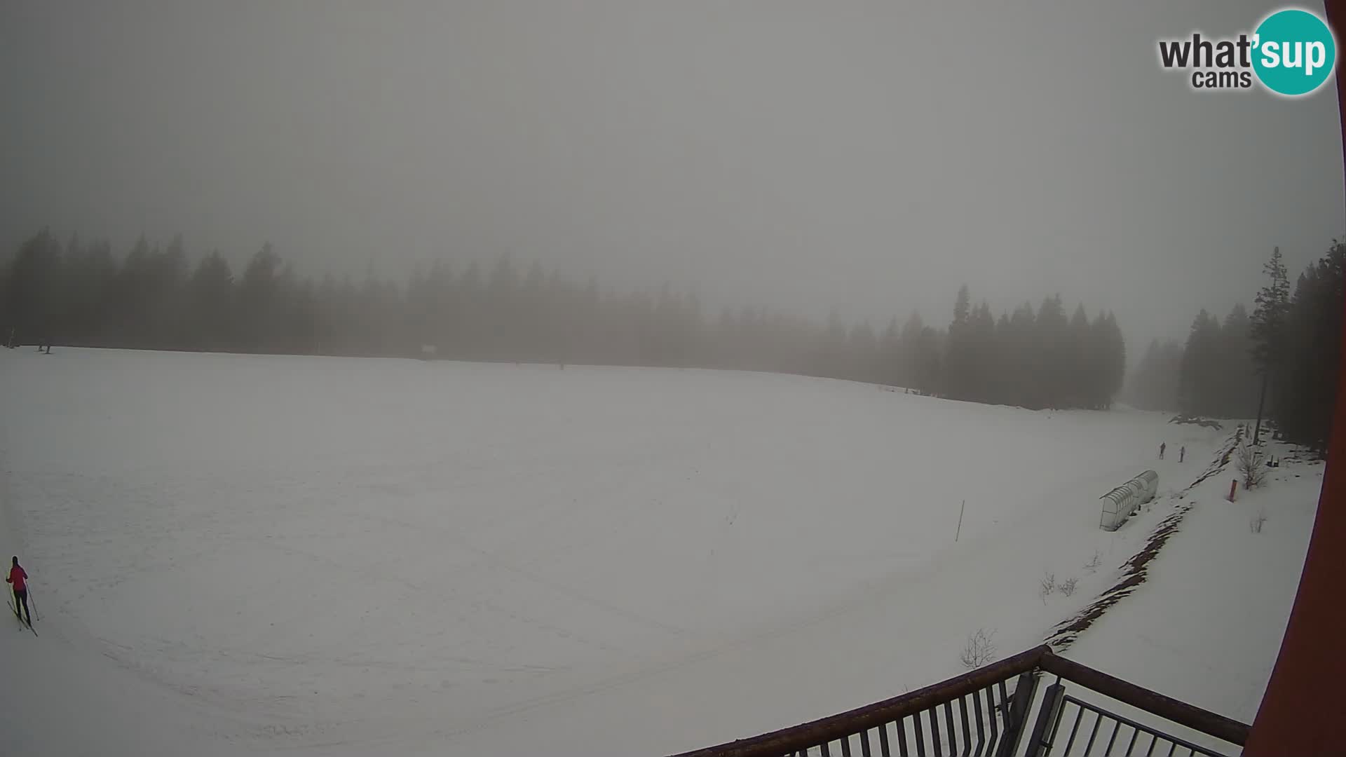 Rogla – Hotel Natura – Skilanglauf