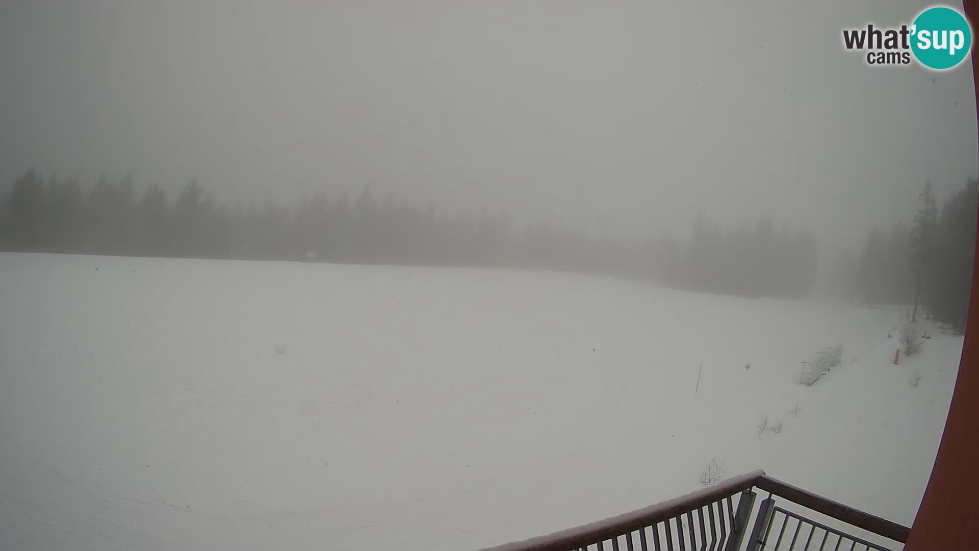 Rogla – Hotel Natura – cross-country skiing