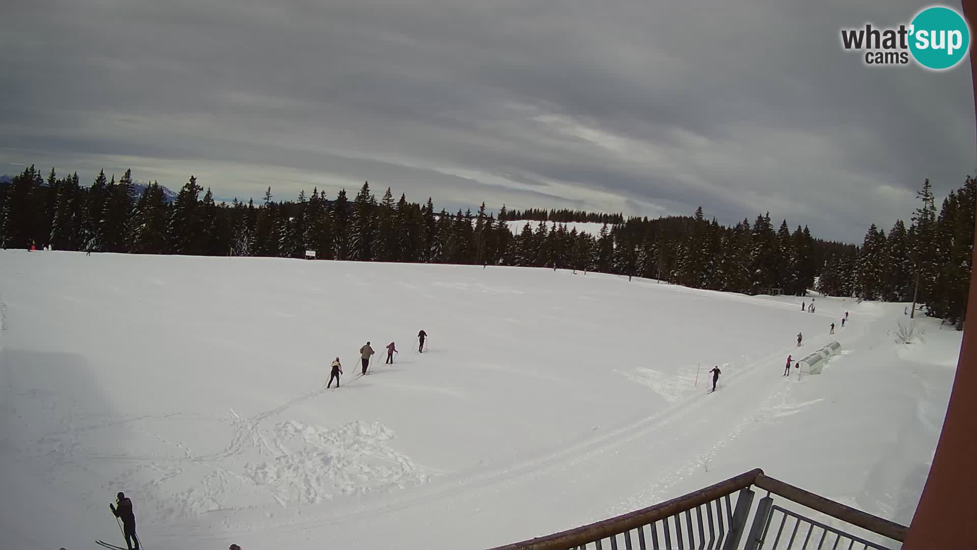 Rogla – Hotel Natura – Esquí de fondo