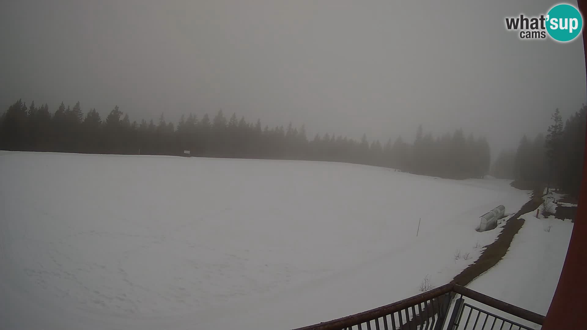 Rogla – Hotel Natura – Skilanglauf