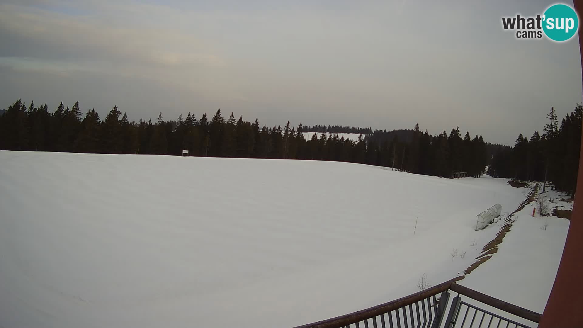 Rogla – Hotel Natura – Skilanglauf