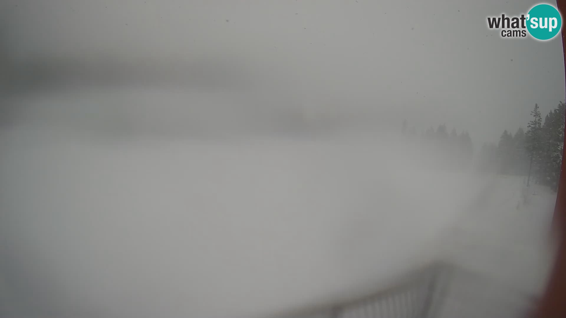 Rogla – Hotel Natura pogled na tekaški poligon