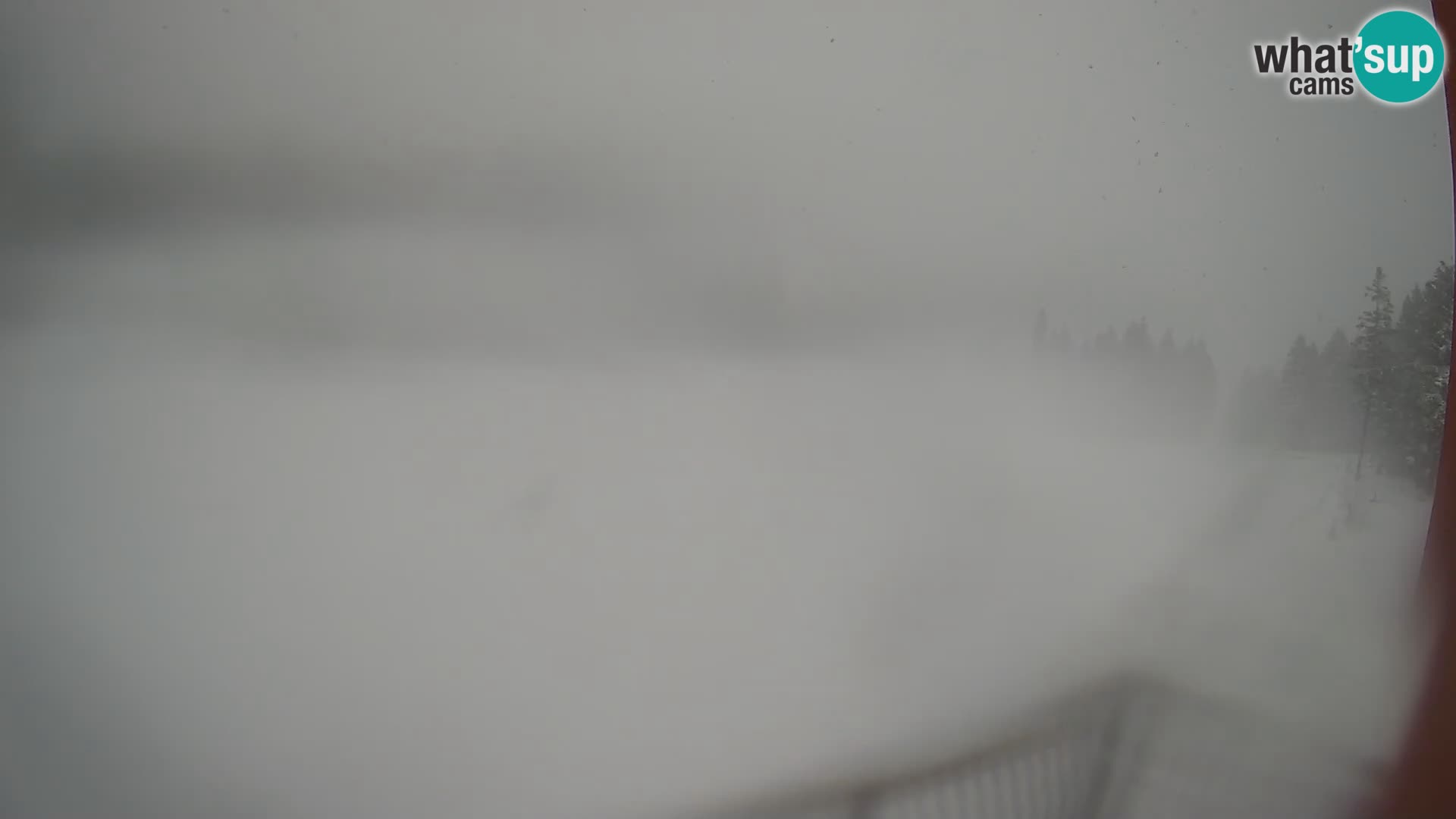 Rogla – Hotel Natura – Esquí de fondo