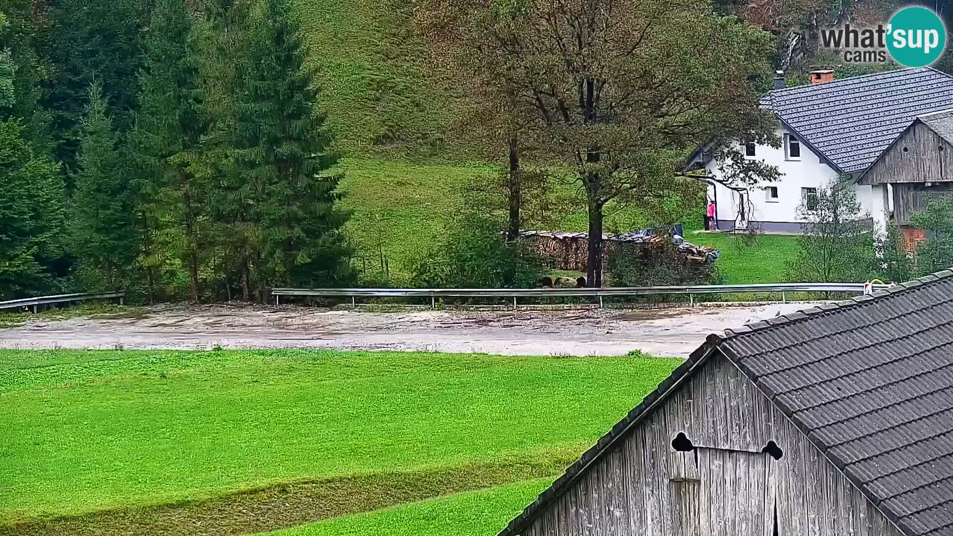 Live webcam ski resort Rudno – Slovenia