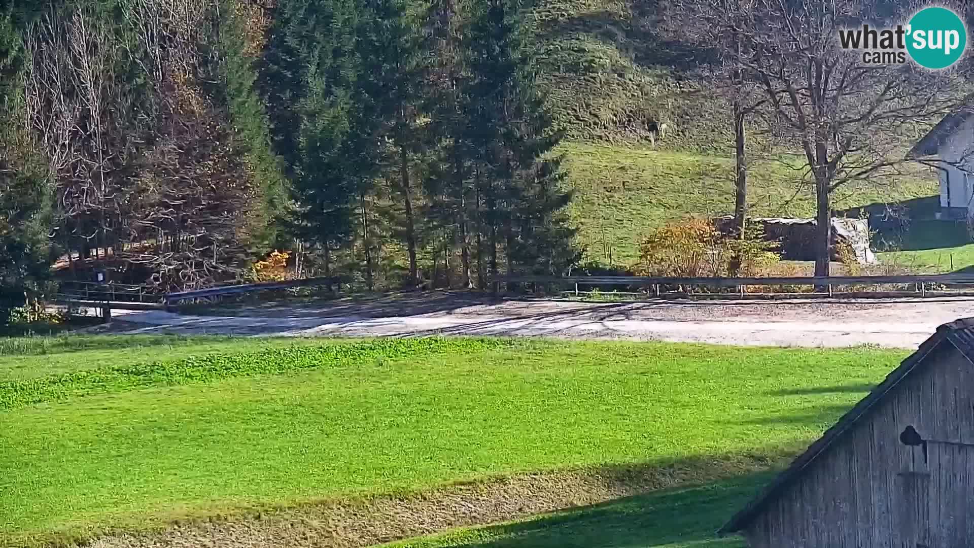 Spletna kamera smučišče Rudno – Železniki