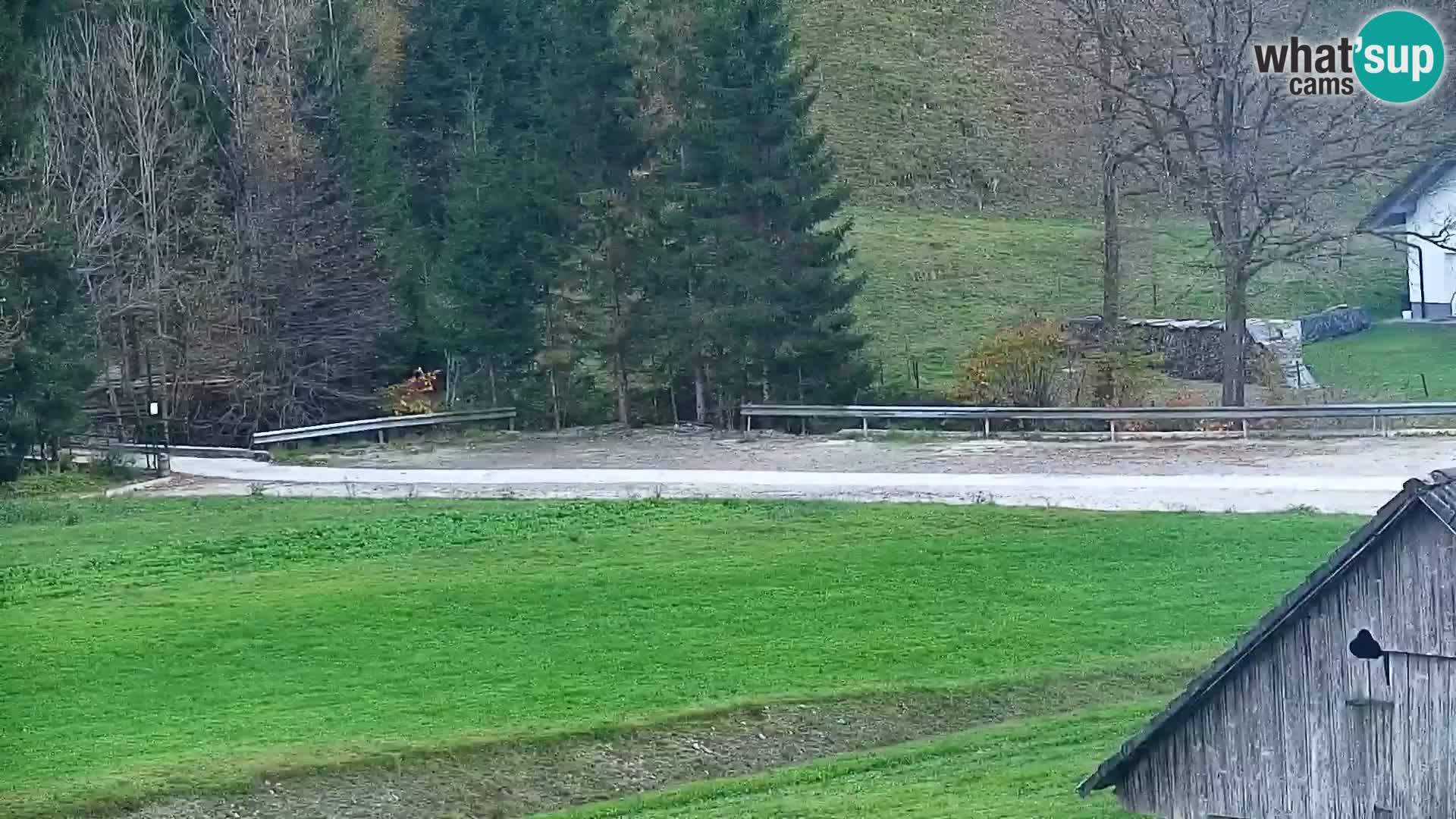 Spletna kamera smučišče Rudno – Železniki