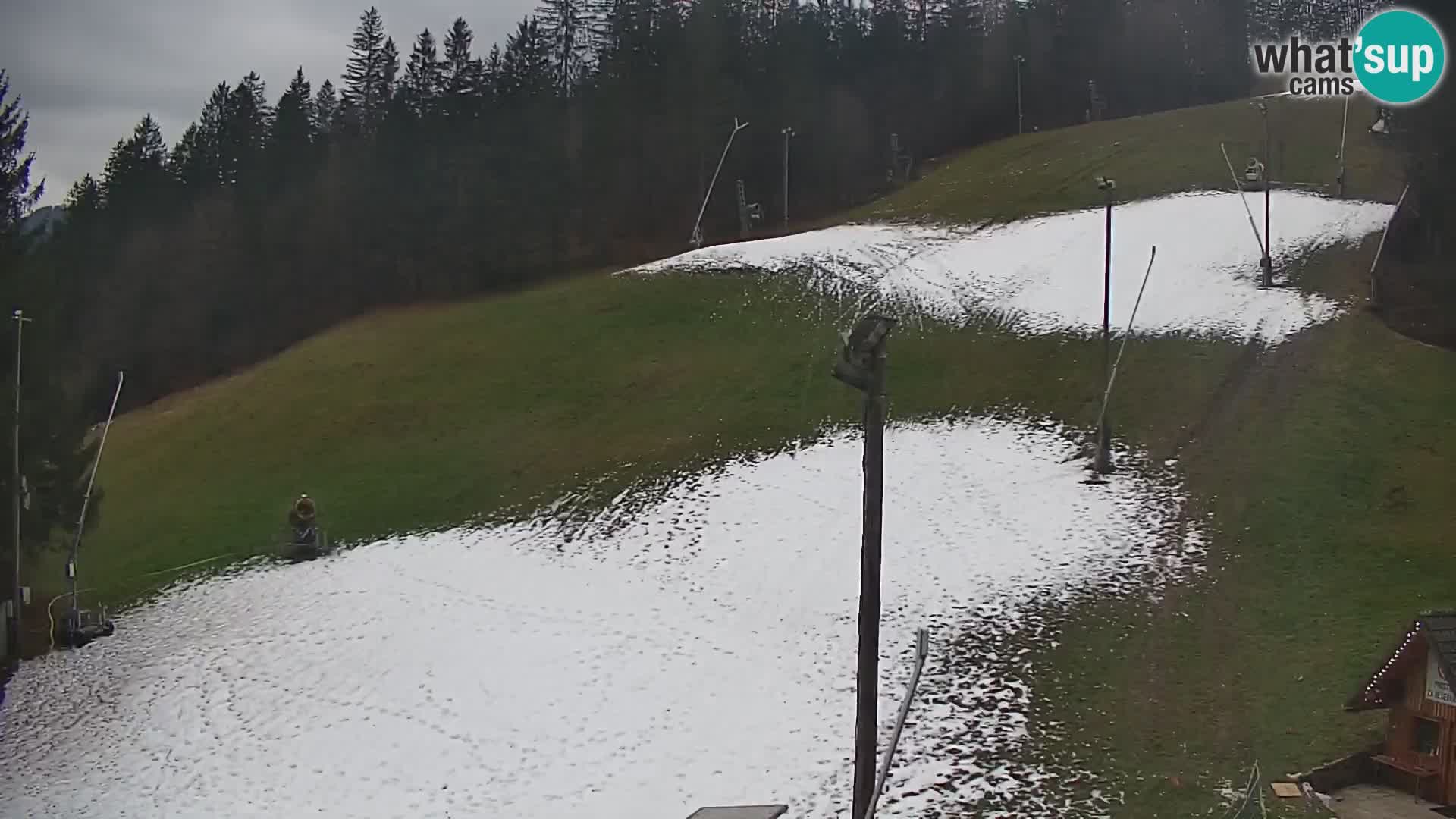 Live Webcam Skigebiet Rudno – Slowenien