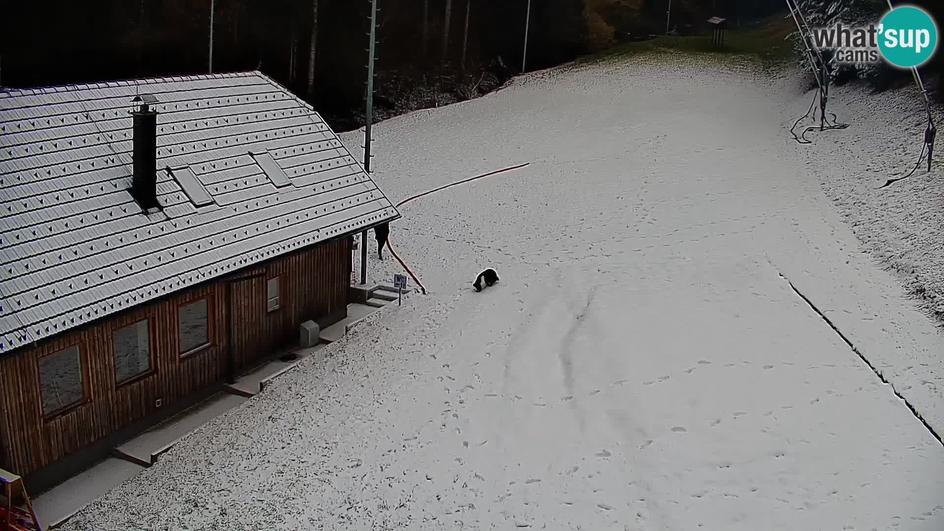 Webcam uživo skijalište Rudno – Slovenija