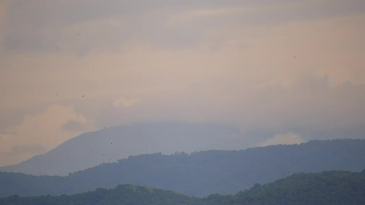 Stunning Panorama of Šempeter pri Gorici