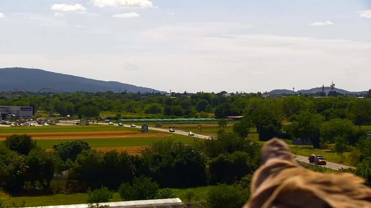 Atemberaubendes Panorama von Šempeter pri Gorici
