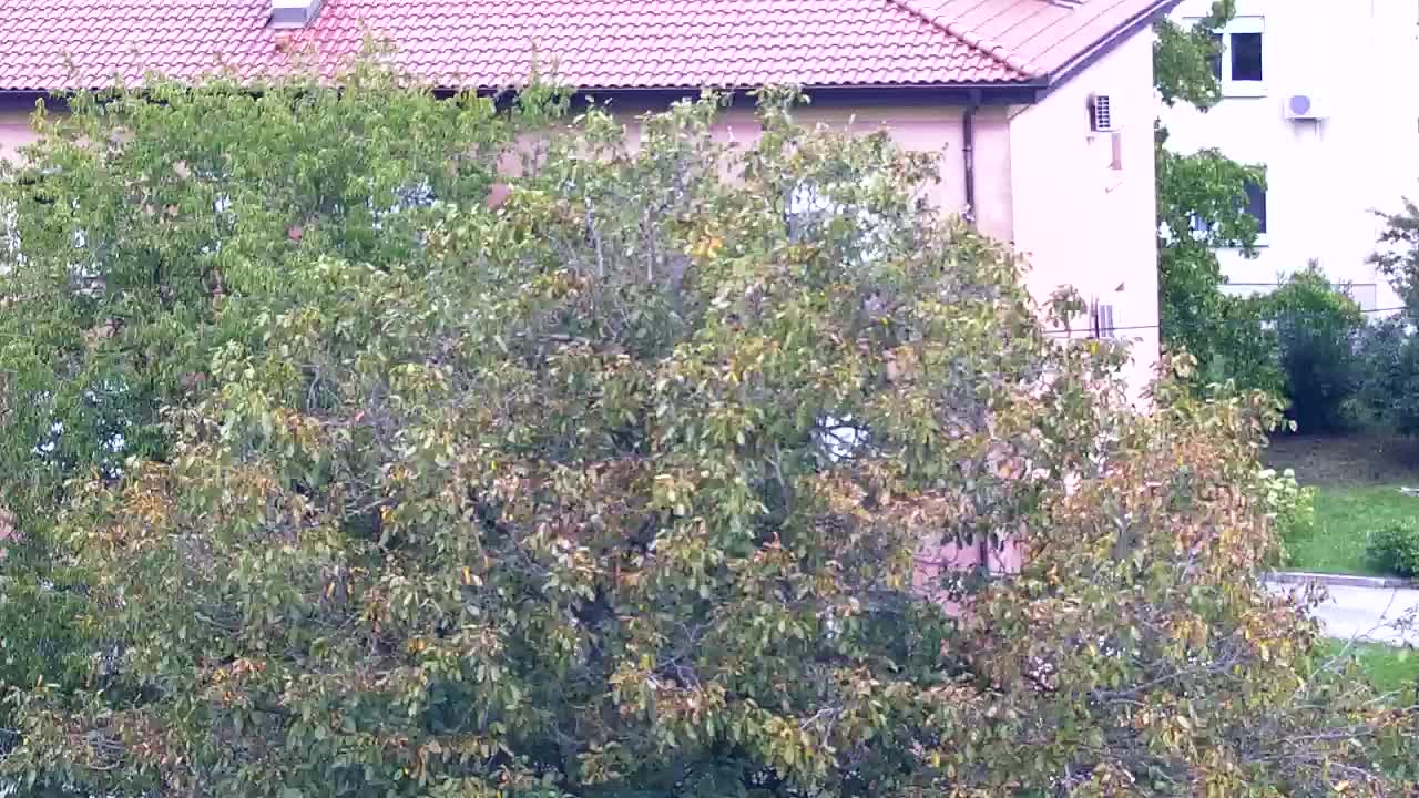 Stunning Panorama of Šempeter pri Gorici