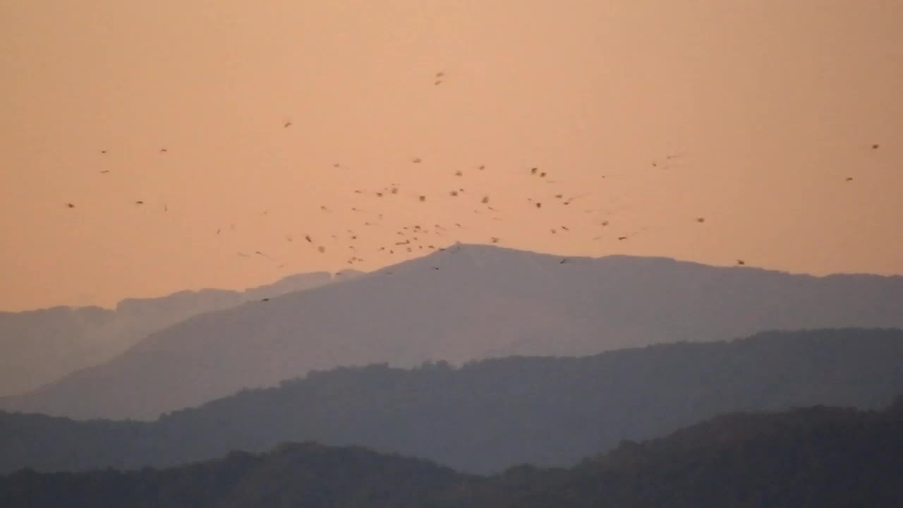 Atemberaubendes Panorama von Šempeter pri Gorici