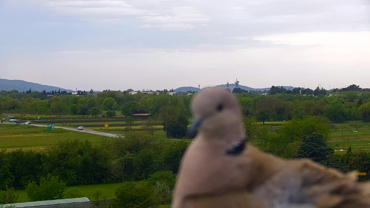 Panorama mozzafiato di Šempeter pri Gorici