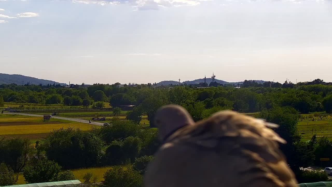 Panorama époustouflant de Šempeter pri Gorici