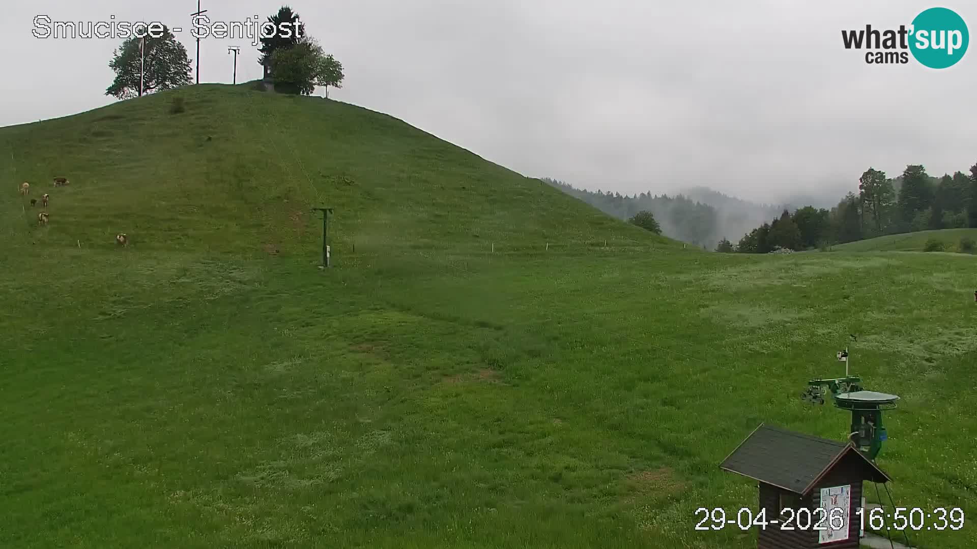 Webcam Šentjošt – Live View from the Ski Area