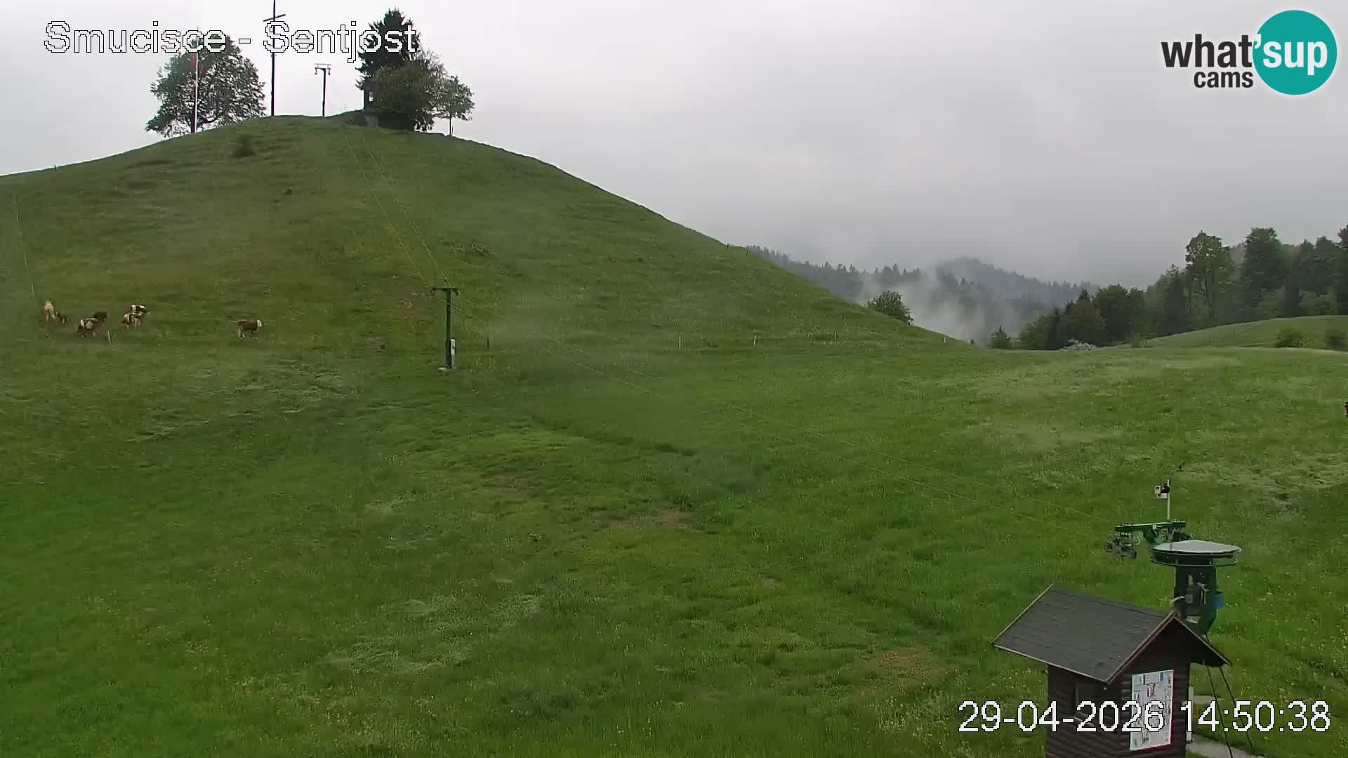 Webcam Šentjošt – Liveblick vom Skigebiet