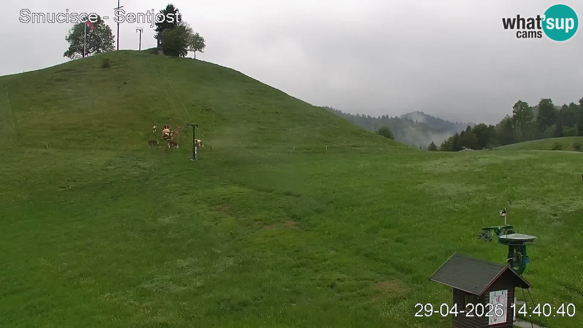 Webcam Šentjošt – Live View from the Ski Area