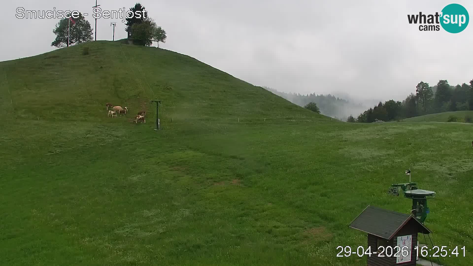 Webcam Šentjošt – Live View from the Ski Area