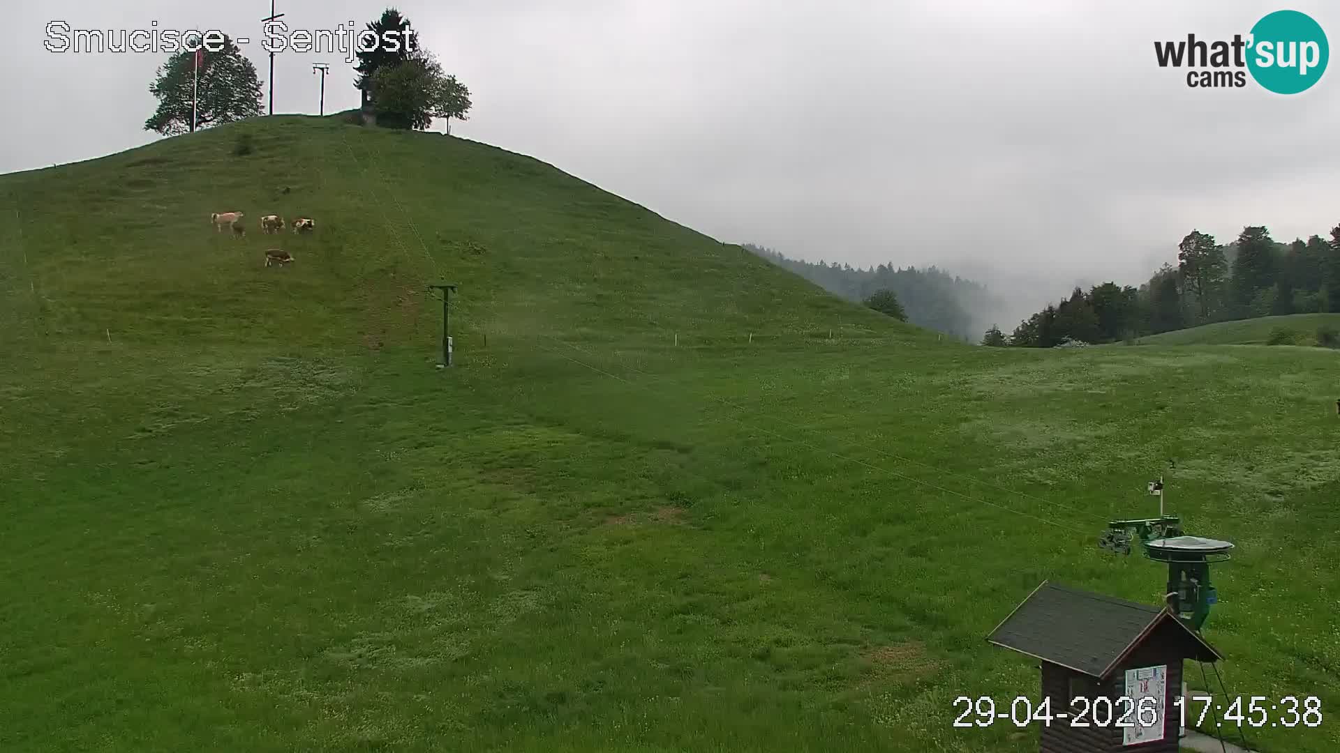 Webcam Šentjošt – Vue en direct depuis la station de ski