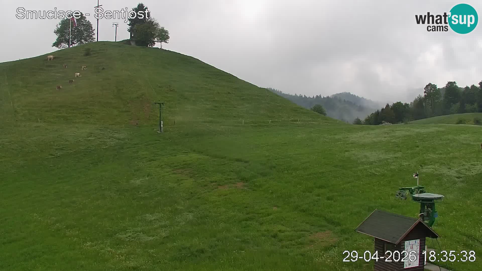 Webcam Šentjošt – Vue en direct depuis la station de ski