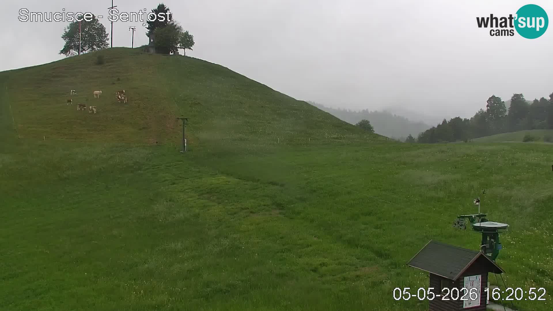 Webcam Šentjošt – Vue en direct depuis la station de ski