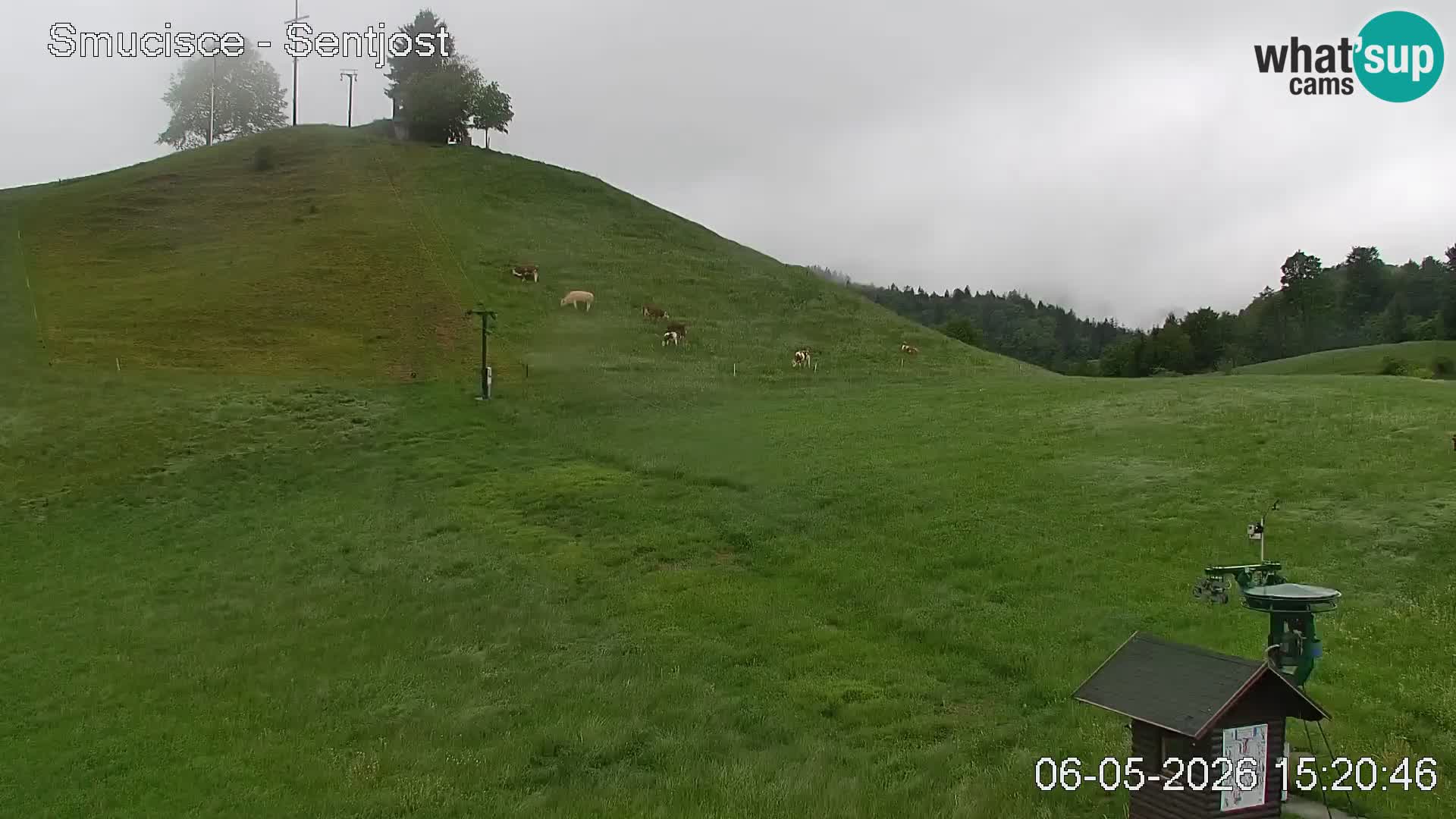 Webcam Šentjošt – Vue en direct depuis la station de ski